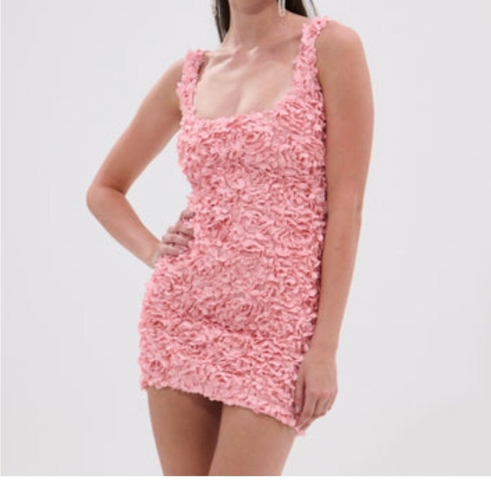 AKIRA Coral Textured Dress